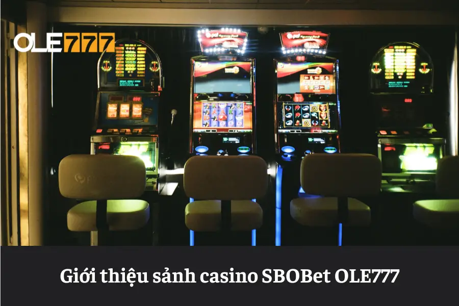 tat tan tat thong tin ve sanh casino sbobet ole777 6613e631c0b19